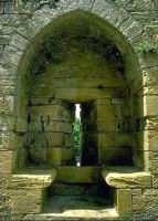 archere a niche